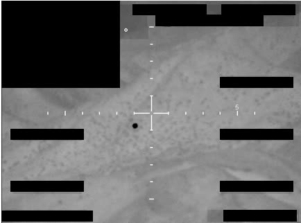 Redacted sensor image with a crosshair targeting an object.