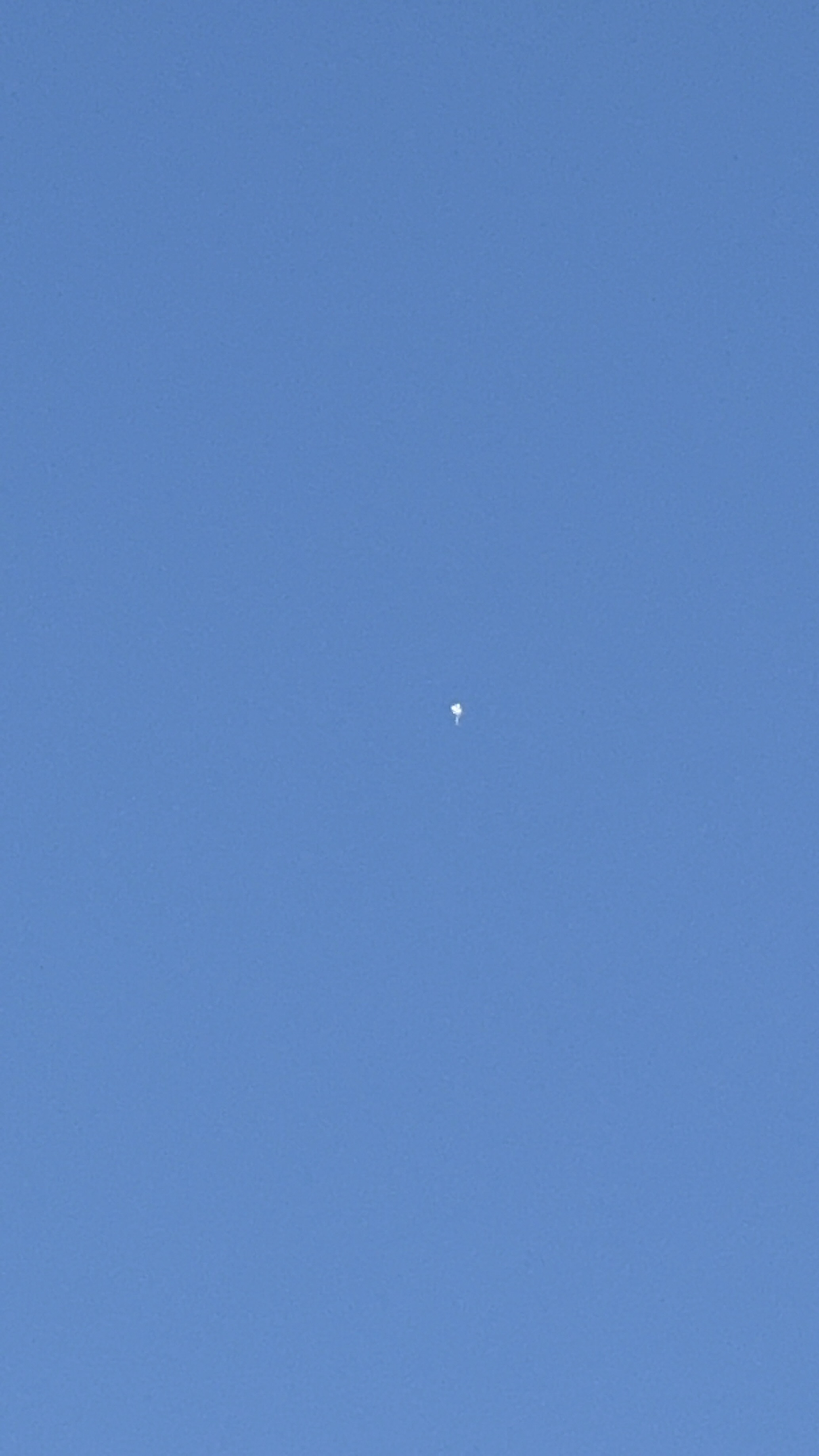 White puff-like object seen hovering in clear sky
