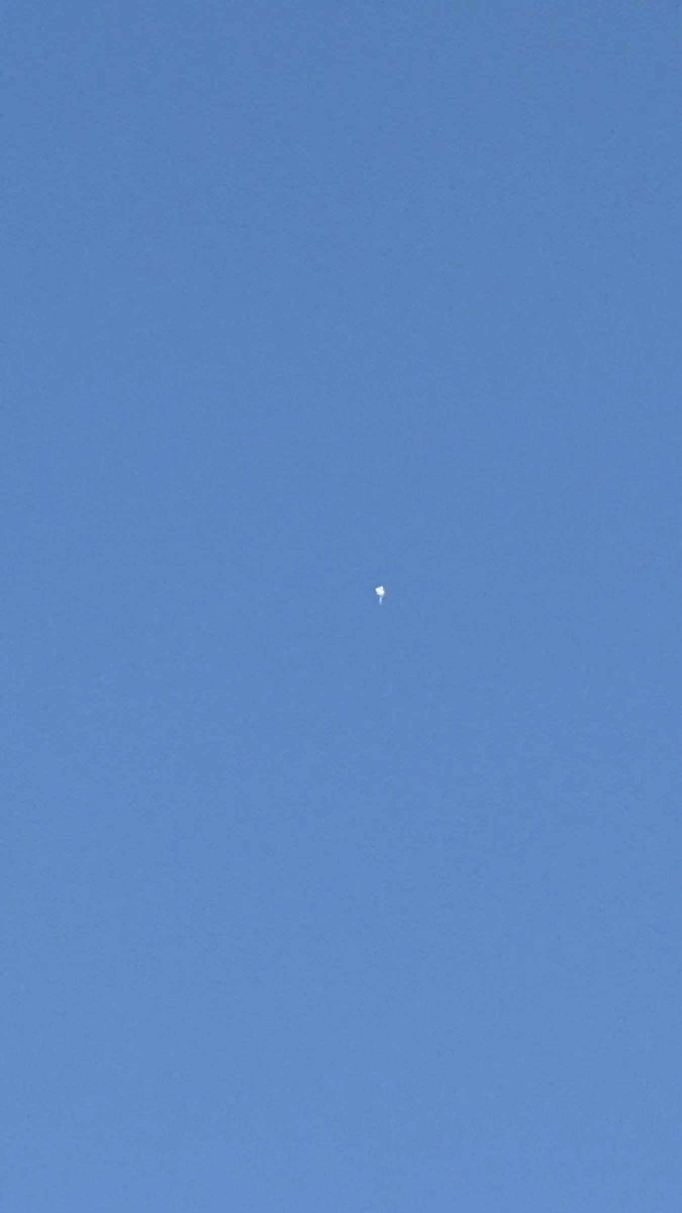 White puff-like object seen hovering in clear sky